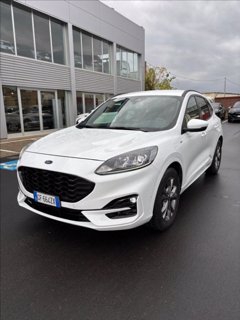 FORD Kuga 1.5 ecoblue ST-Line 2wd 120cv auto